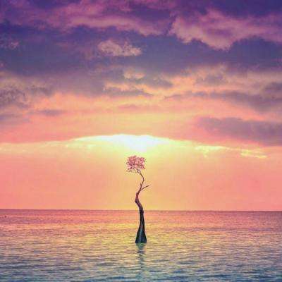 kaiyun体育官方下载截图